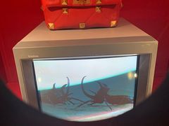 -上海当代艺术博物馆