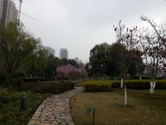 -白塘生态植物园