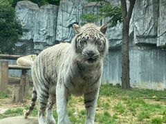 -常州淹城野生动物世界