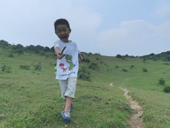 -大姆山草场