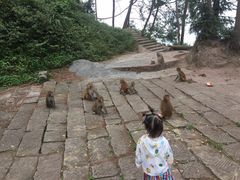 -重庆雨台山风景区