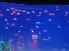 -沈阳海洋探索中心