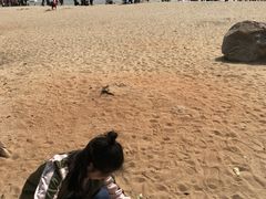 -演武大桥观景平台