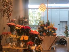 -dotcom coffee古点咖啡(致真大厦店)