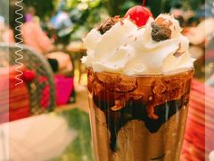 -Fern Forest Cafe