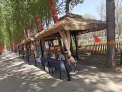 -草根堂农场
