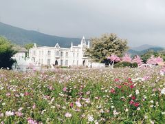 -玫瑰海岸文化旅游度假区