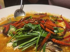 -清水亭湖北菜(大屯DT51店)