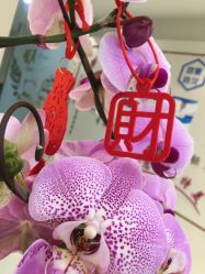 -丽美妍医疗美容·皮秒·立体分层抗衰