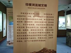 -古陶文明博物馆
