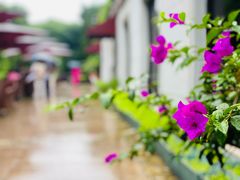 -杭州香格里拉饭店