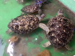 -常州海昌海洋探索馆