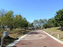-莫子山公园