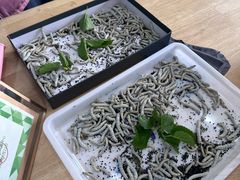 -白塘生态植物园