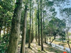 -前小桔亲子创意农场·草莓采摘·露营烧烤