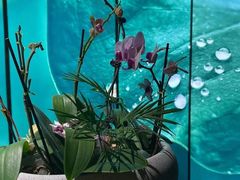 -若水云栖·足疗·按摩·SPA(城阳万达广场店)