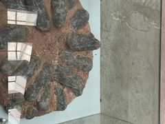 -中国地质大学逸夫博物馆