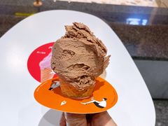 百年巧克力冰淇淋-野人先生现做冰淇淋(北京环宇荟店)