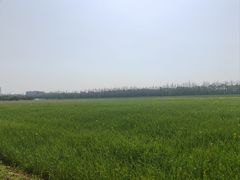 -嘉北郊野公园