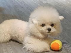 -伽利略剧本探案馆(国贸店)