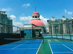 -君成体育|网球培训(蛇口校区)