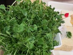 -牛街·马辈儿涮肉(陶然亭店)