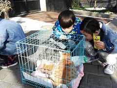 -徐家汇源景区-衡山坊