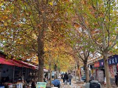 -秦始皇帝陵博物院-丽山园