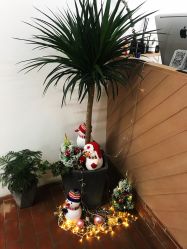 -Y-STUDIO原理