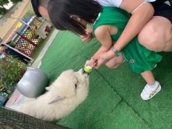 -萌宠亲子动物乐园(槐房万达店)