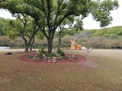 -苏州上方山国家森林公园
