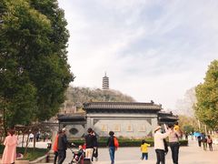 -焦山景区-万佛塔