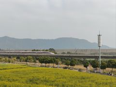 -光明小镇欢乐田园