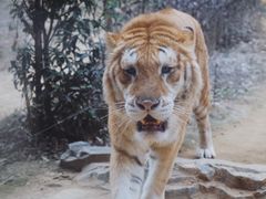 -杭州野生动物世界