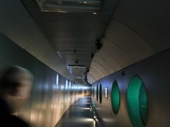 -白鹤梁水下博物馆
