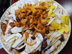 -菌之家·专业纯野生菌火锅·特色炒菌
