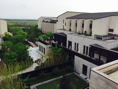 -上海崇明金茂凯悦酒店