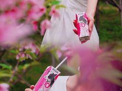 -天适樱花悠乐园