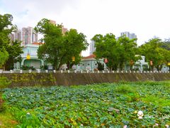 -龙环葡韵住宅式博物馆