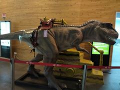 -中国湿地博物馆