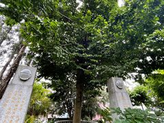 -广州神农草堂中医药博物馆