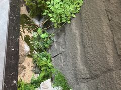 -俏东方·海味水饺·青岛菜(崂山店)