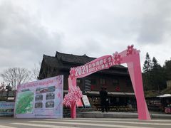 -梭布垭石林景区