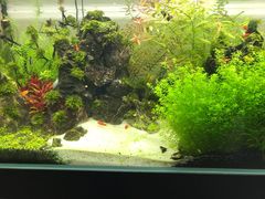 -UCCA Kids 儿童美育