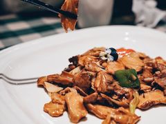 巴音野蘑菇炒羊肉-新疆巴州金丝特餐厅(大钟寺店)