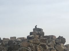 -太原动物园