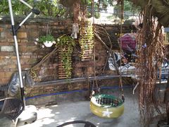 -柴犬高等学院·狗咖·柴犬售卖·宠物训练