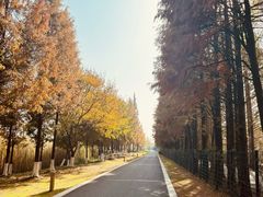 -高淳老街土菜馆(迎薰门店)