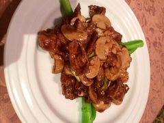 蘑菇酱炒鸭脯肉-丽笙精选海仑宾馆·海茂中餐厅