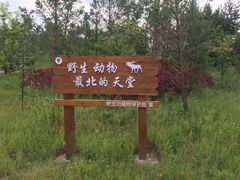 -北极村旅游风景区